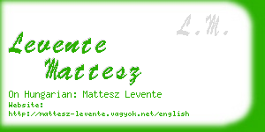 levente mattesz business card